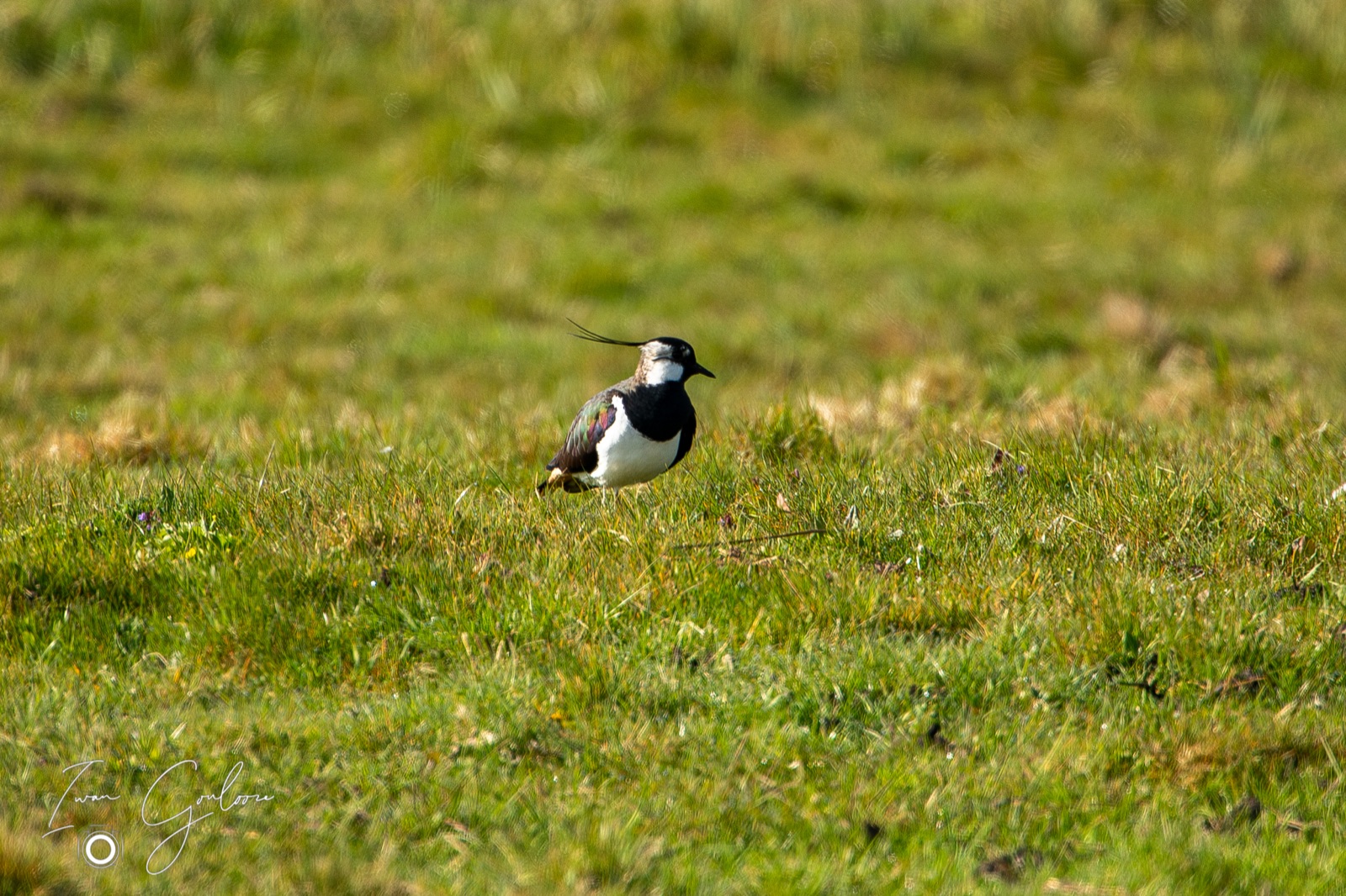 14 april 2022 103321  5D46108